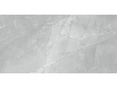 Armani Marble Gray 120x60
