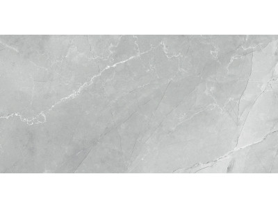 Armani Marble Gray 120x60
