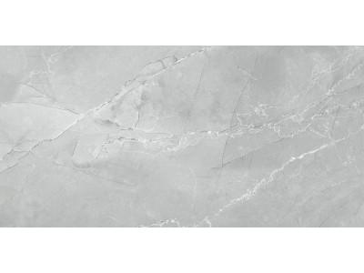 Armani Marble Gray 120x60
