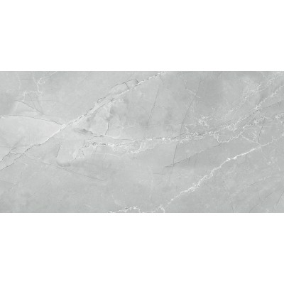 Armani Marble Gray 120x60
