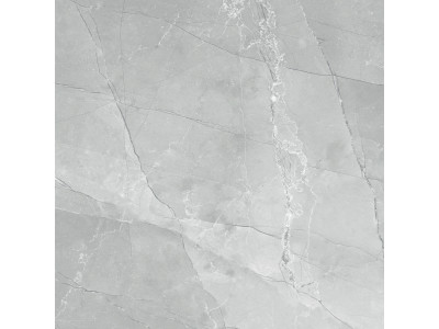 Armani Marble Gray  60x60