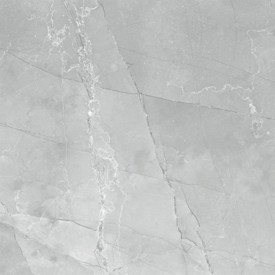 Armani Marble Gray  60x60