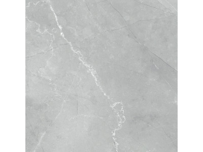 Armani Marble Gray  60x60