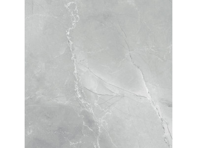Armani Marble Gray  60x60