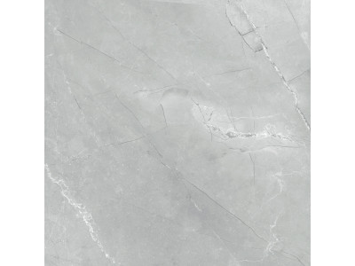 Armani Marble Gray  60x60