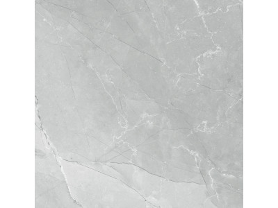Armani Marble Gray  60x60