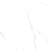 Atlantic Marble 60x60