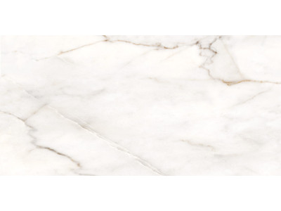 Borneo 120x60