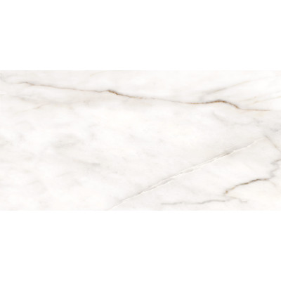 Borneo 120x60