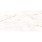 Borneo 120x60