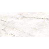 Borneo 120x60