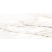 Borneo 120x60