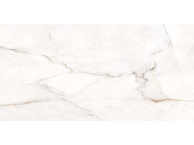 Borneo 120x60