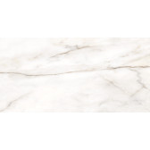 Borneo 120x60