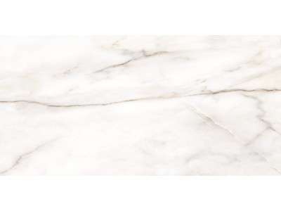 Borneo 120x60