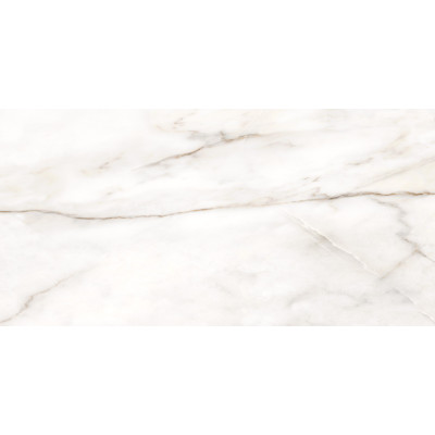 Borneo 120x60