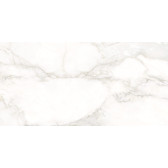 Calacatta Luna 120x60