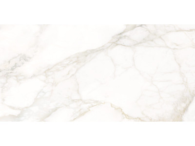 Calacatta Luna 120x60