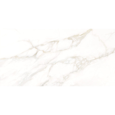 Calacatta Luna 120x60