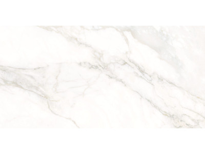Calacatta Luna 120x60
