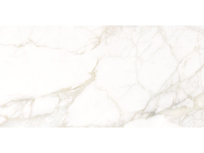Calacatta Luna 120x60