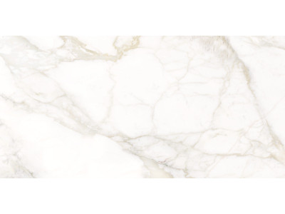 Calacatta Luna 120x60