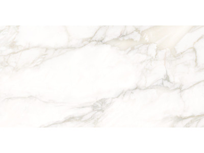 Calacatta Luna 120x60