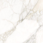 Calacatta Luna 80x80