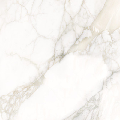 Calacatta Luna 80x80