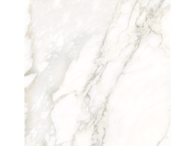 Calacatta Luna 80x80