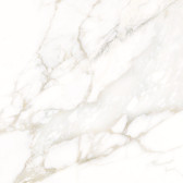 Calacatta Luna 80x80