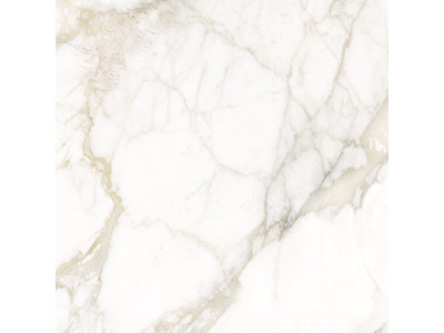 Calacatta Luna 80x80