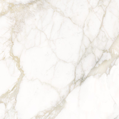 Calacatta Luna 80x80