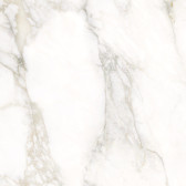 Calacatta Luna 80x80