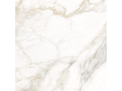 Calacatta Luna 80x80