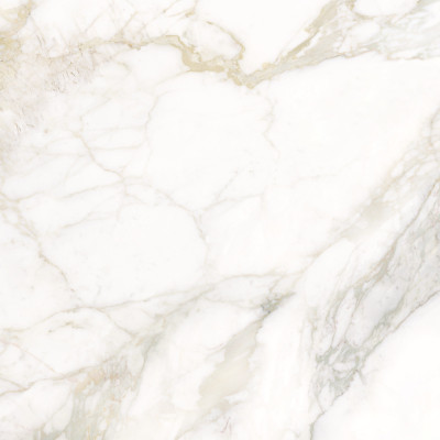 Calacatta Luna 80x80