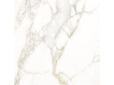 Calacatta Luna 80x80