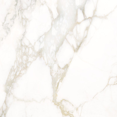 Calacatta Luna 80x80