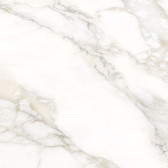 Calacatta Luna 80x80