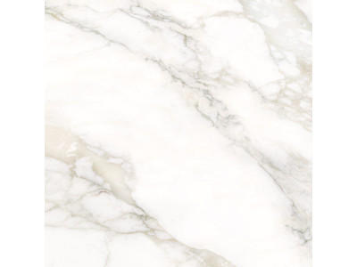Calacatta Luna 80x80