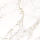 Calacatta Luna 80x80