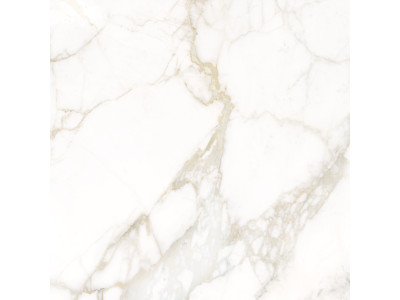 Calacatta Luna 80x80