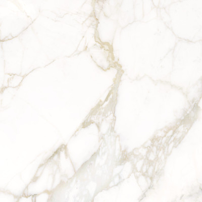 Calacatta Luna 80x80