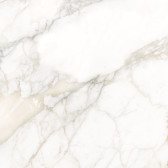 Calacatta Luna 80x80