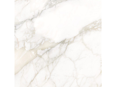 Calacatta Luna 80x80