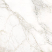 Calacatta Luna 80x80