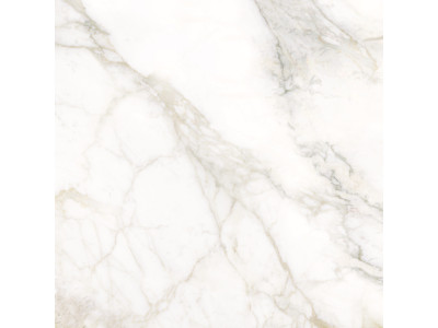 Calacatta Luna 80x80