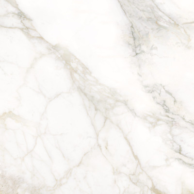 Calacatta Luna 80x80