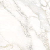 Calacatta Luna 80x80