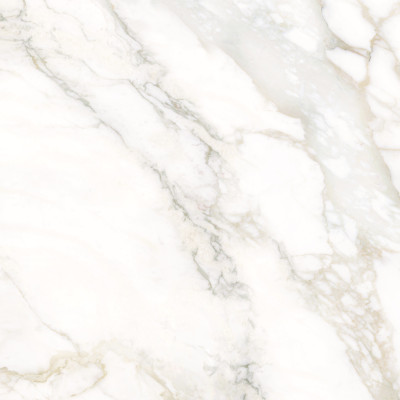 Calacatta Luna 80x80